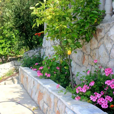 By The Sea Prizba, Korcula - 10063